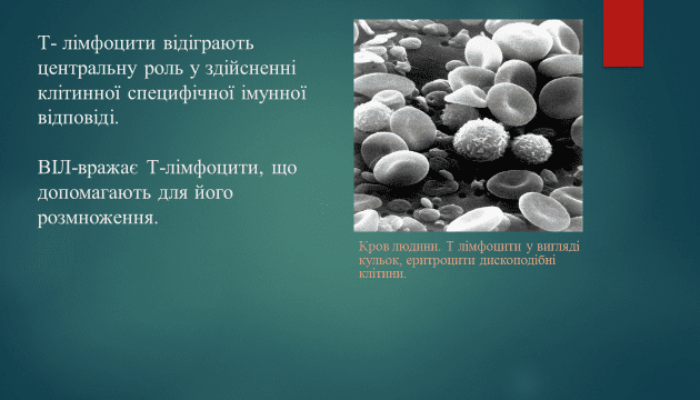 f4d1ecb9-a8f8-46c8-9f47-9c8d26592f7a